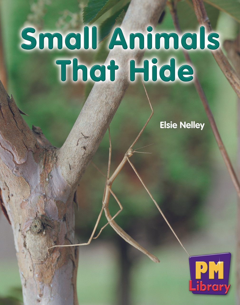 fri28 New PM Library Yellow Small Animals That Hide Lvl 8-9 - Image 1