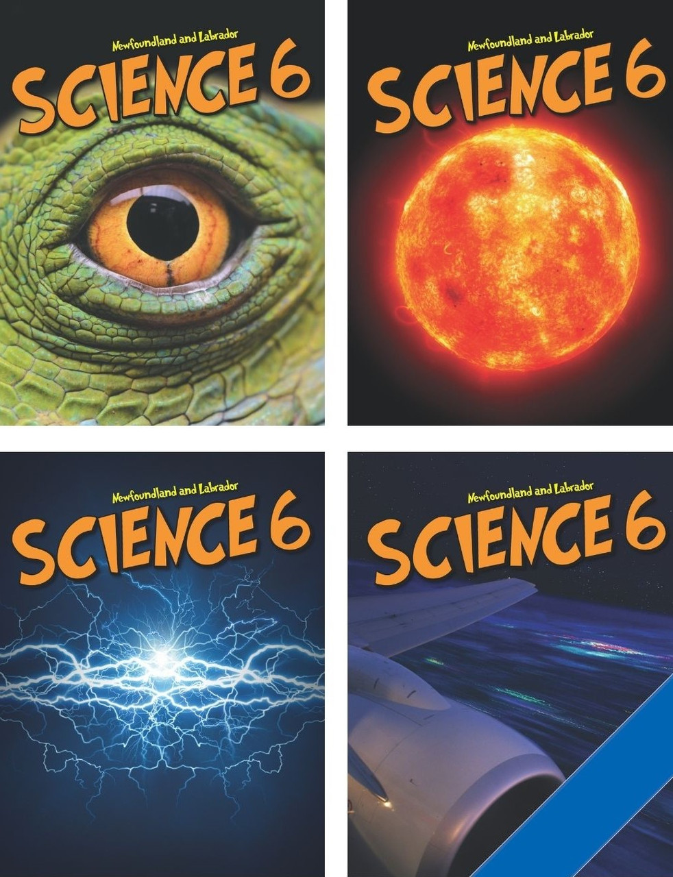 sa Newfoundland and Labrador Science 6 - Student Ebook (12 Month Online Subscription) - Image 1