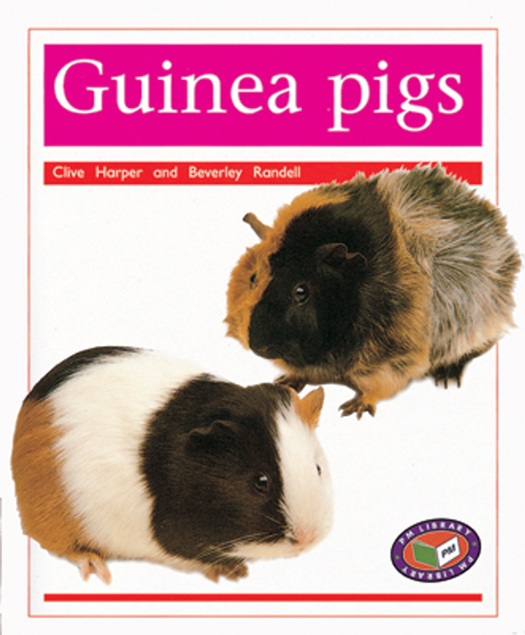thu 21 PM Library Orange Guinea Pigs Lvl 14-15 - Image 1