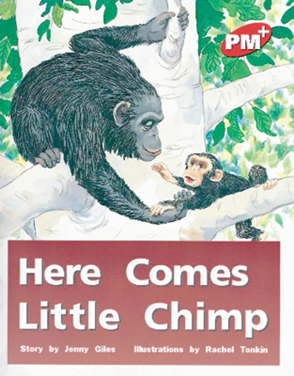 thu 28 PM Plus Red Here Comes Little Chimp Lvl 3 - Image 1