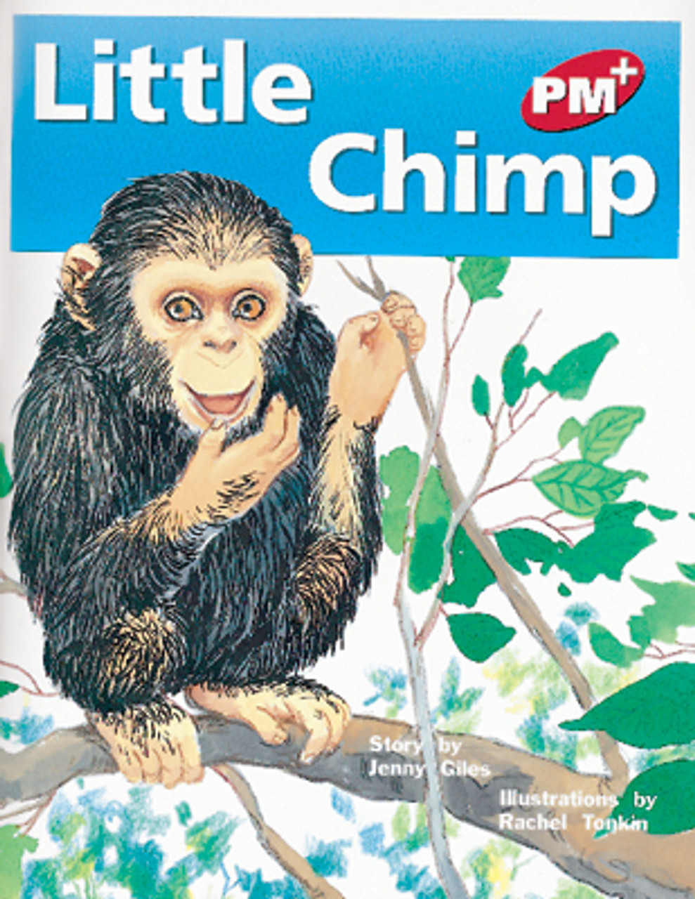 thu 29 PM Plus Red Little Chimp Lvl 3 - Image 1