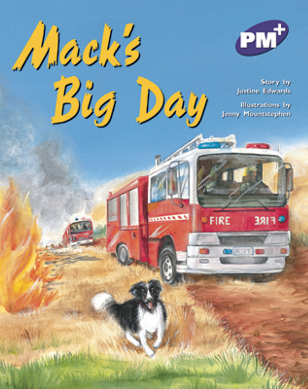 thu 3 PM Plus Purple Mack's Big Day Lvl 20 - Image 1