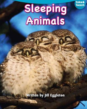 JillE Literacy Magenta Non-Fiction | Sleeping Animals Non-Fiction Set (8-Pack) - 9780176925758