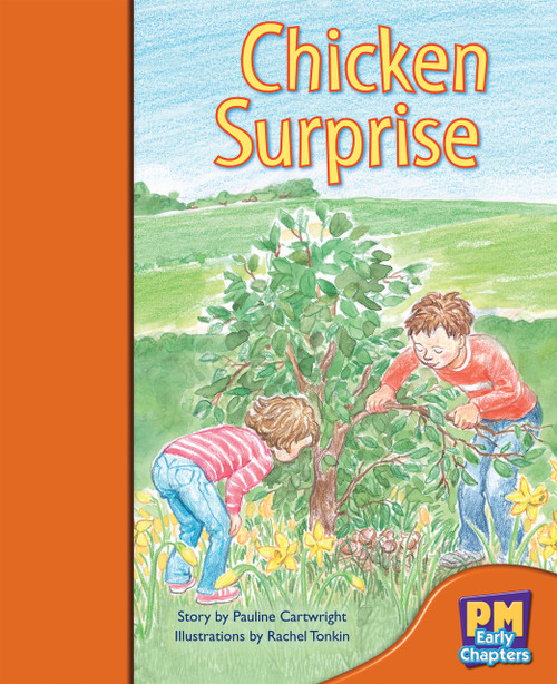 SA5 PM Early Chapters Orange Chicken Surprise Lvl 16 - Image 1