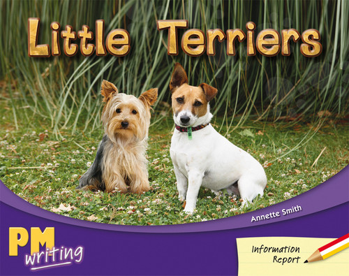 fr11 PM Writing Red/Yellow Little Terriers Lvl 5-6: Little Terriers (6- pack) - Image 1