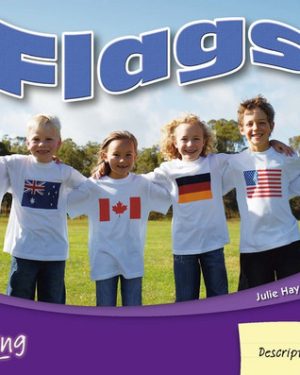 PM Writing Blue/Green Flags Lvl 11-12: Flags (6- pack)