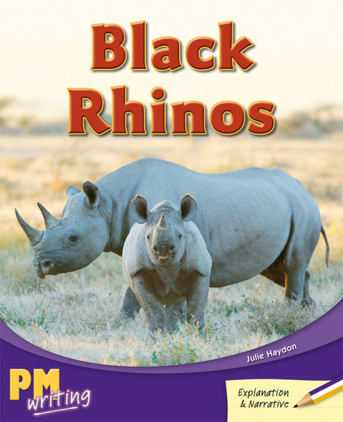 fr39 PM Writing Purple/Gold Black Rhinos Lvl 19-22: Black Rhinos (6-pack) - Image 1