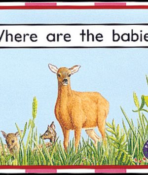 PM Library Magenta Where are the Babies' Lvl 2: PM Library: Magenta