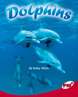 PM Plus Ruby Dolphins Lvl 27: PM Plus: Ruby