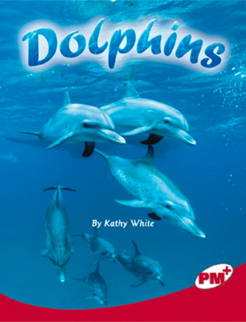 m67 PM Plus Ruby Dolphins Lvl 27: PM Plus: Ruby - Image 1