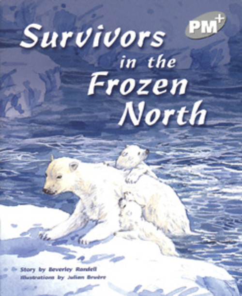 m7 PM Plus Silver Survivors in the Frozen North Lvl 24: PM Plus: Silver - Image 1