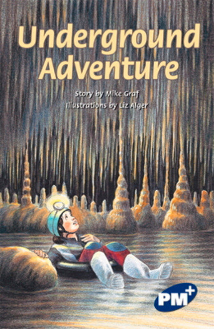 m73 PM Plus Sapphire Underground Adventure Lvl 29: Underground Adventure - Image 1