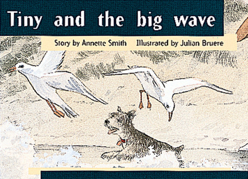 mo18 PM Library Yellow Tiny and the Big Wave Lvl 8 - Image 1