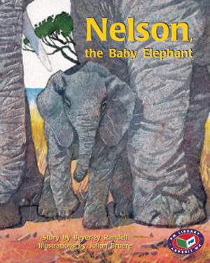 PM Library Turquoise Nelson the Baby Elephant Lvl 17