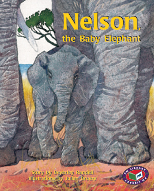 mo64 PM Library Turquoise Nelson the Baby Elephant Lvl 17 - Image 1