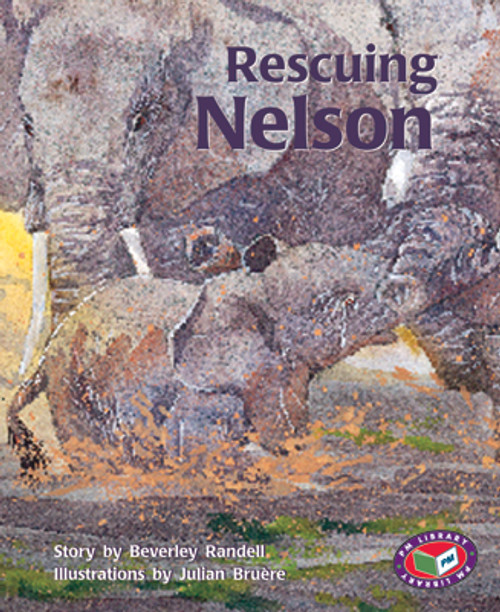 mo68 PM Library Turquoise Rescuing Nelson Lvl 17 - Image 1