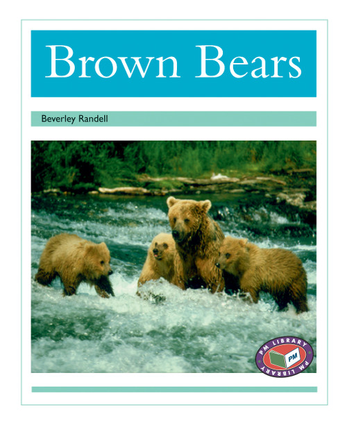 mo76 PM Library Turquoise Brown Bears Lvl 18-19 - Image 1