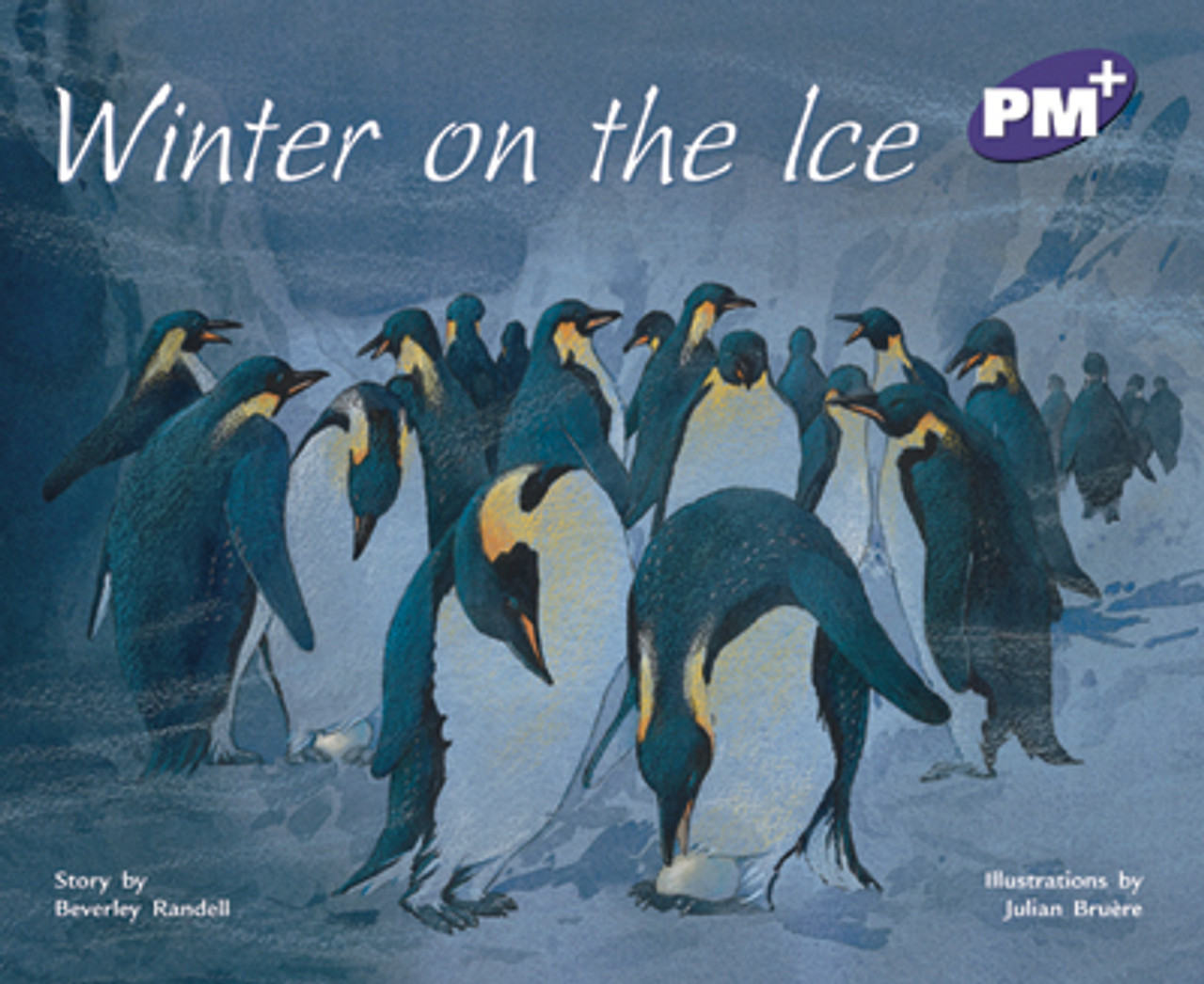 sa15 PM Plus Purple Winter on the Ice Lvl 20 - Image 1