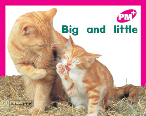 sa7 PM Plus Magenta Big and Little Lvl 2 - Image 1