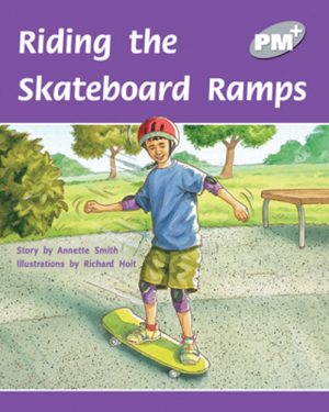 PM Plus Silver Riding the Skateboard Ramps Lvl 23
