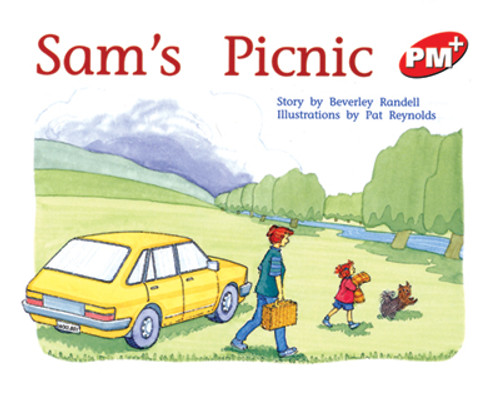 su25 PM Plus Red Sam's Picnic Lvl 5 - Image 1
