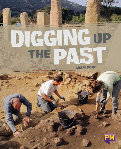 t49 New! Pm Library Sapphire Digging Up The Past - Level 30 (U) Single Copy - Image 1
