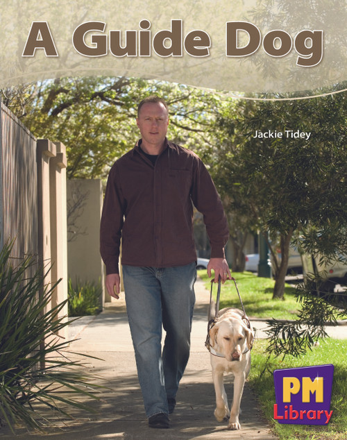 th27 New PM Library Blue A Guide Dog Lvl 11-12 - Image 1