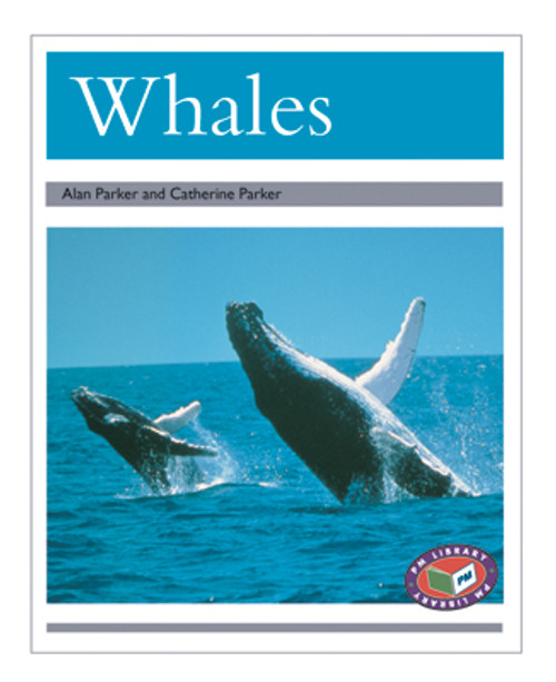 tu20 PM Library Silver Whales Lvl 24 - Image 1
