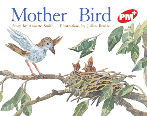 tu29 PM Plus Red Mother Bird Lvl 4 - Image 1