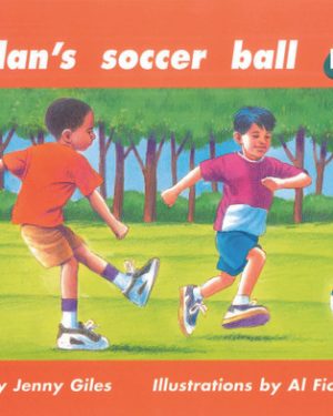 PM Plus Green Jordan's Soccer Ball Lvl 12