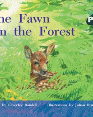 PM Plus Green A Fawn in the Forest Lvl 14