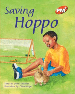 PM Plus Orange PM Plus Orange Saving Hoppo Lvl 15Lvl
