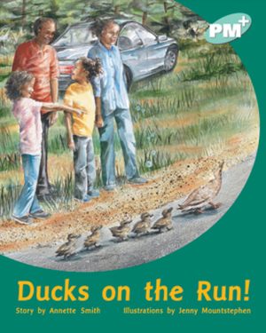 PM Plus Turquoise Ducks on the Run Lvl 17