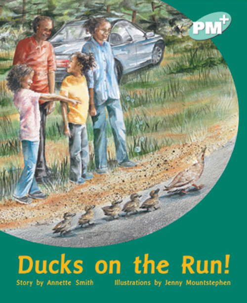 tu80 PM Plus Turquoise Ducks on the Run Lvl 17 - Image 1