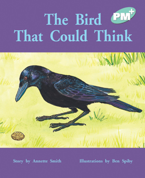 tu81 PM Plus Turquoise The Bird That Could Think Lvl 17 - Image 1