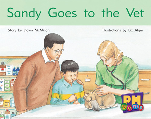 we29 PM Gems Blue Sandy Goes to the Vet Lvl 11 - Image 1