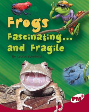 PM Plus Ruby Frogs: Fascinating and Fragile Lvl 28