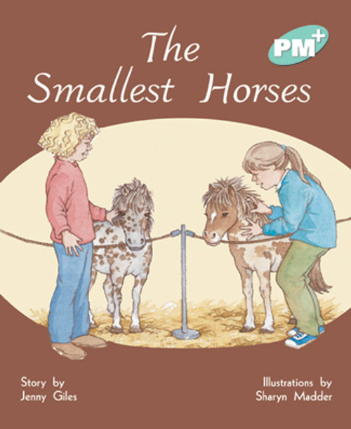 we6 PM Plus Turquoise The Smallest Horses Lvl 17 - Image 1