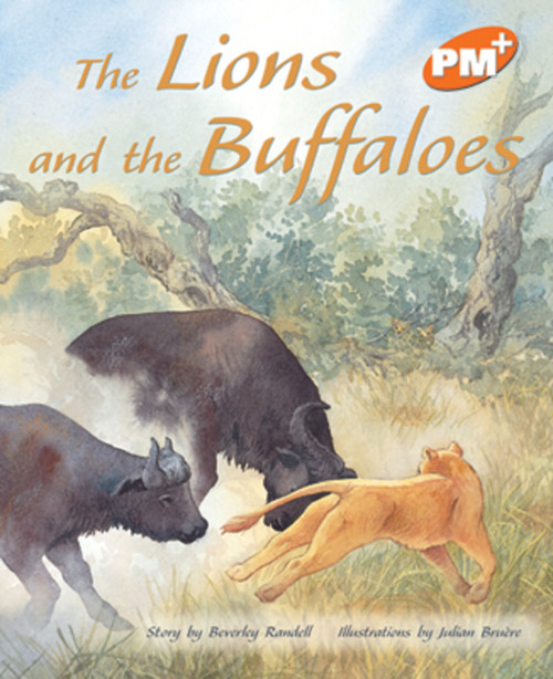 fr22 PM Plus Orange The Lions and the Buffaloes Lvl 16: PM Plus: Orange - Image 1