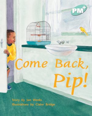 PM Plus Turquoise Come Back, Pip! Lvl 17: PM Plus: Turquoise