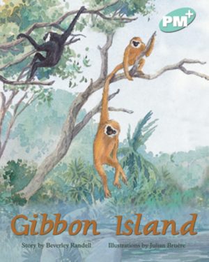 PM Plus Turquoise Gibbon Island Lvl 18: PM Plus: Turquoise