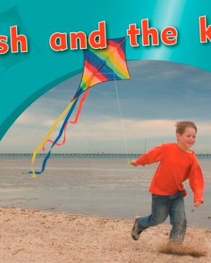 PM Photo Stories Magenta Josh and the Kite Lvl 2-3: PM PhotoStories: Magenta