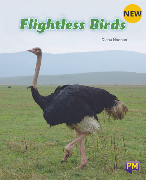 fri3 New! PM Library Turquoise Level 18 Flightless Birds 6-pack - Image 1