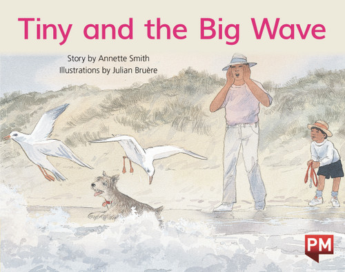 mo23 PM Library Yellow Level 8 Tiny and the Big Wave 6-pack - Image 1