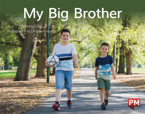 mo25 PM Library Yellow Level 8-9 My Big Brother 6-pack - Image 1