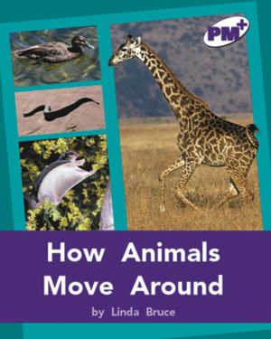 PM Plus Purple How Animals Move Around Lvl 20-21