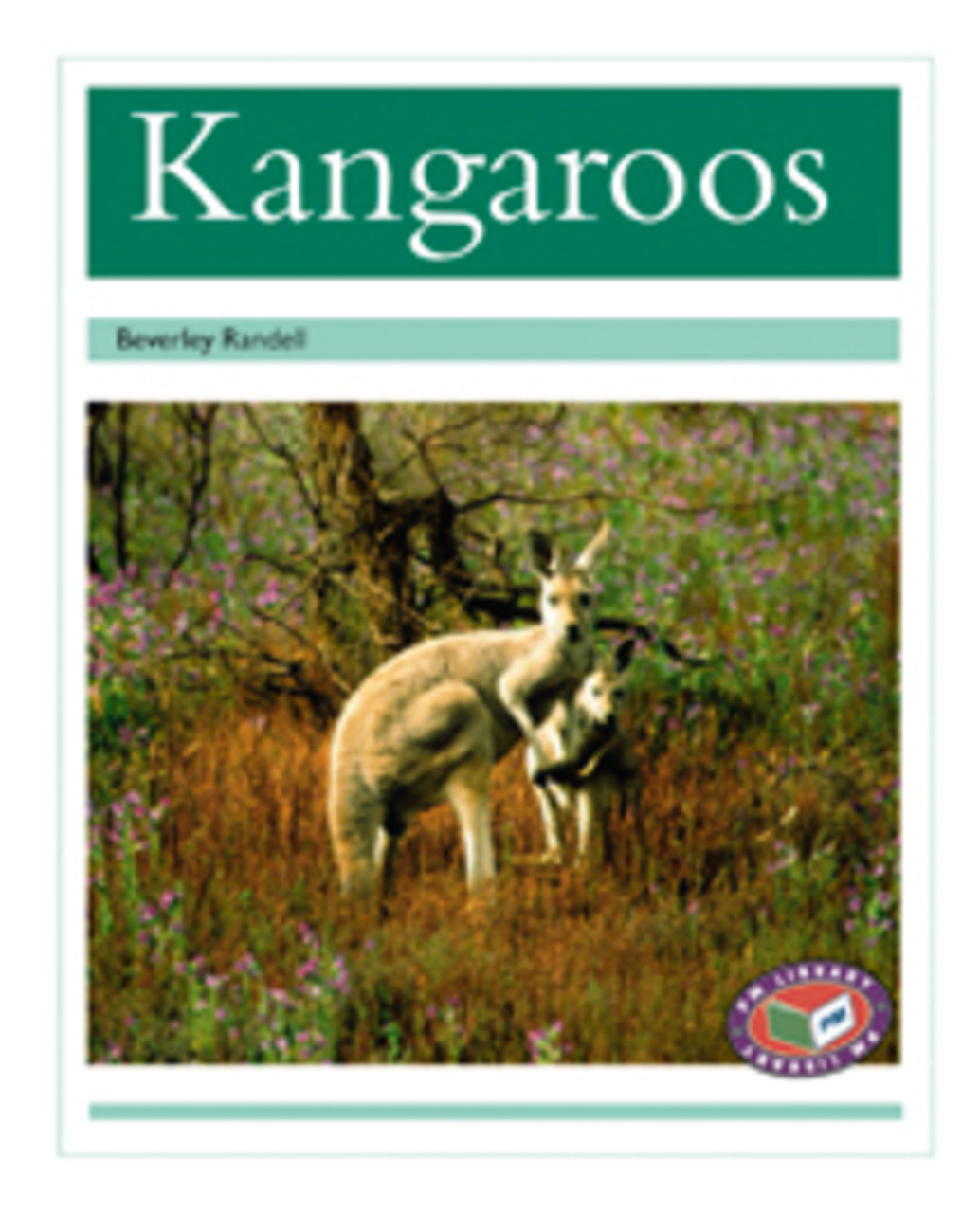 th1 PM Library Turquoise Kangaroos Lvl 18-19: PM Library: Turquoise - Image 1