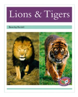 PM Library Turquoise Lions and Tigers Lvl 18-19: PM Library: Turquoise