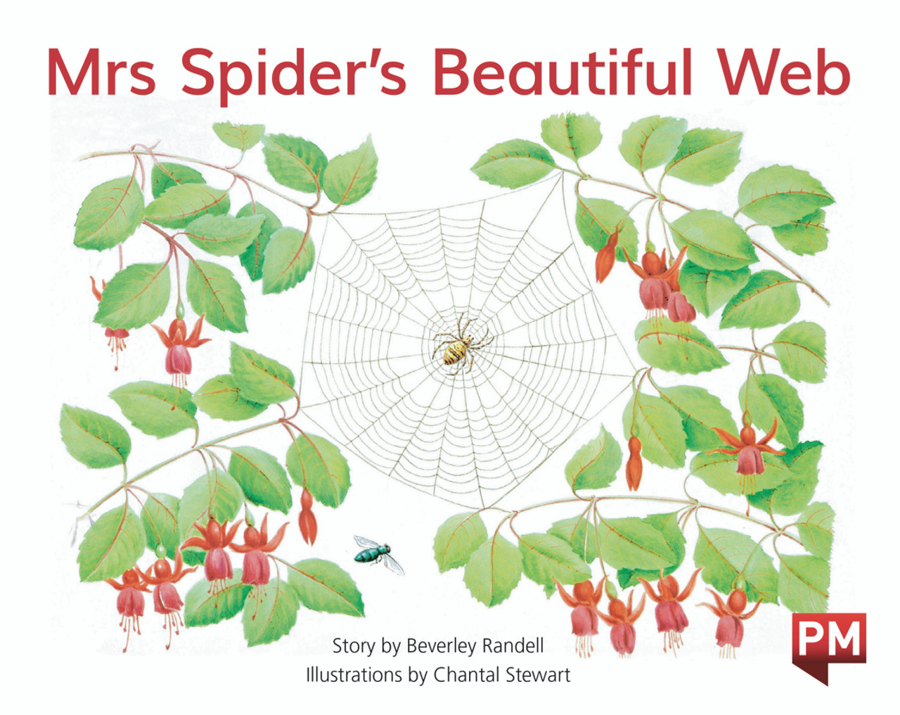 tu3 PM Library Green Level 13 Mrs Spider's Beautiful Web 6-pack - Image 1