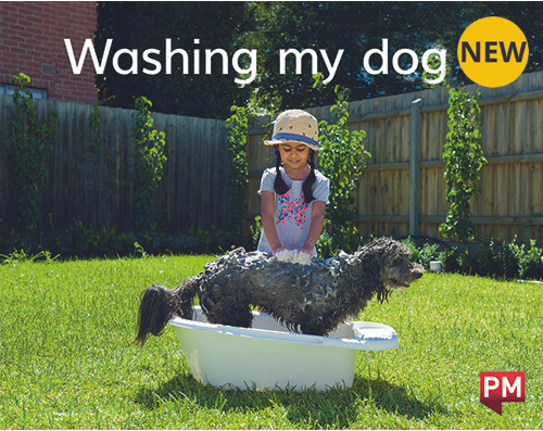tu40 New! PM Library Magenta Level 1 Washing my dog (wordless) 6-pack - Image 1